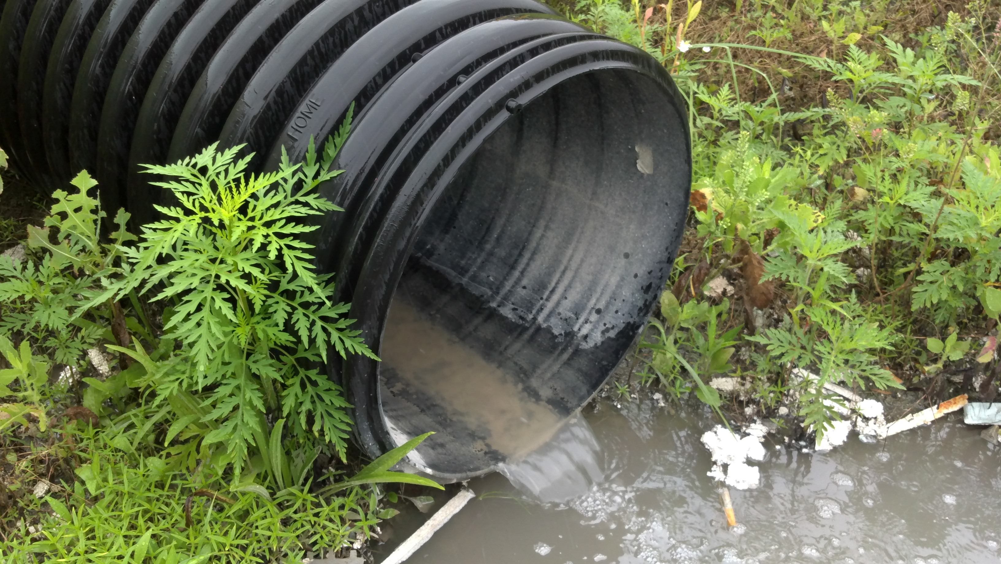 stormwater discharching from outfall