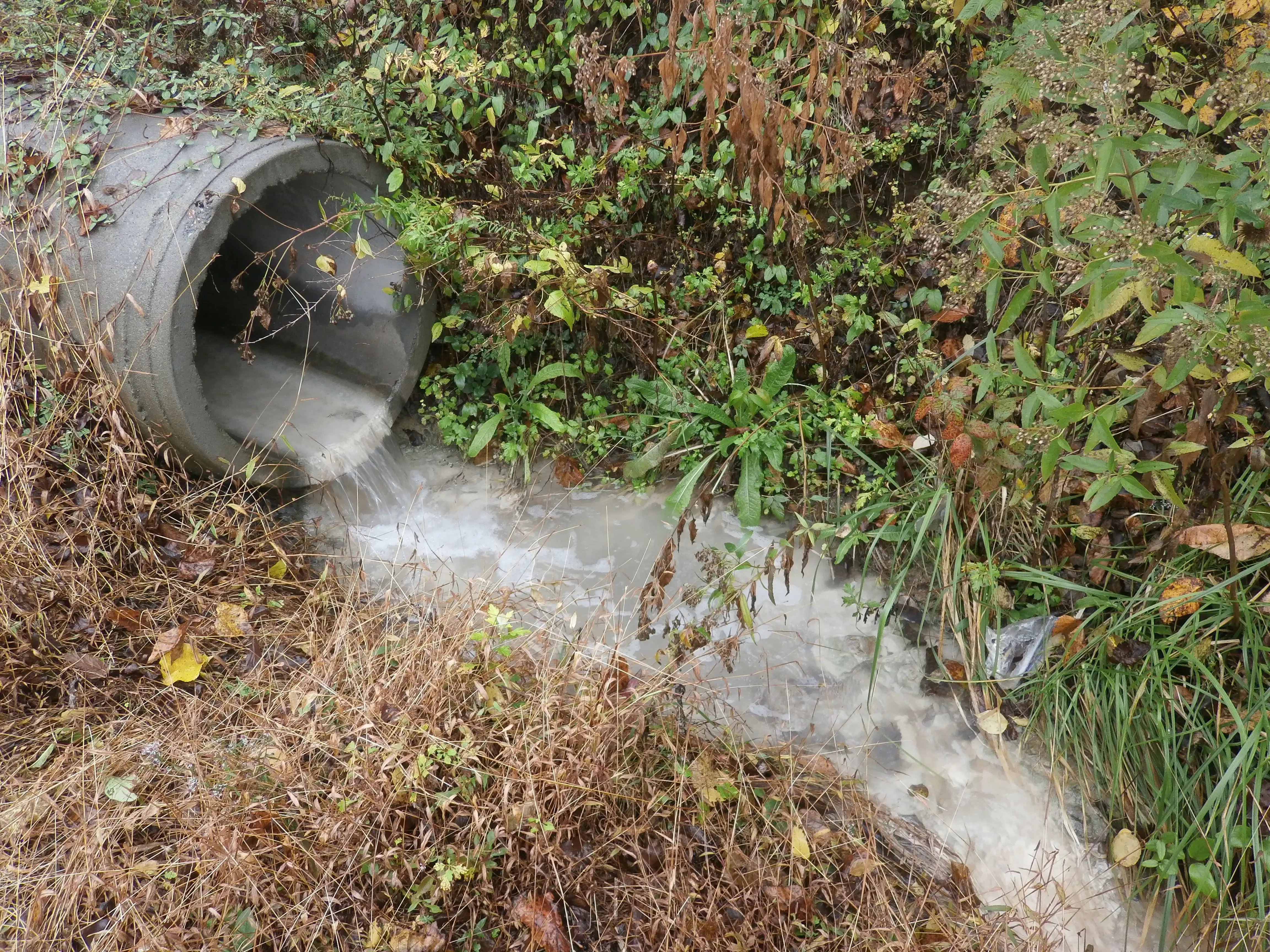 Stormwater draining from discharge point