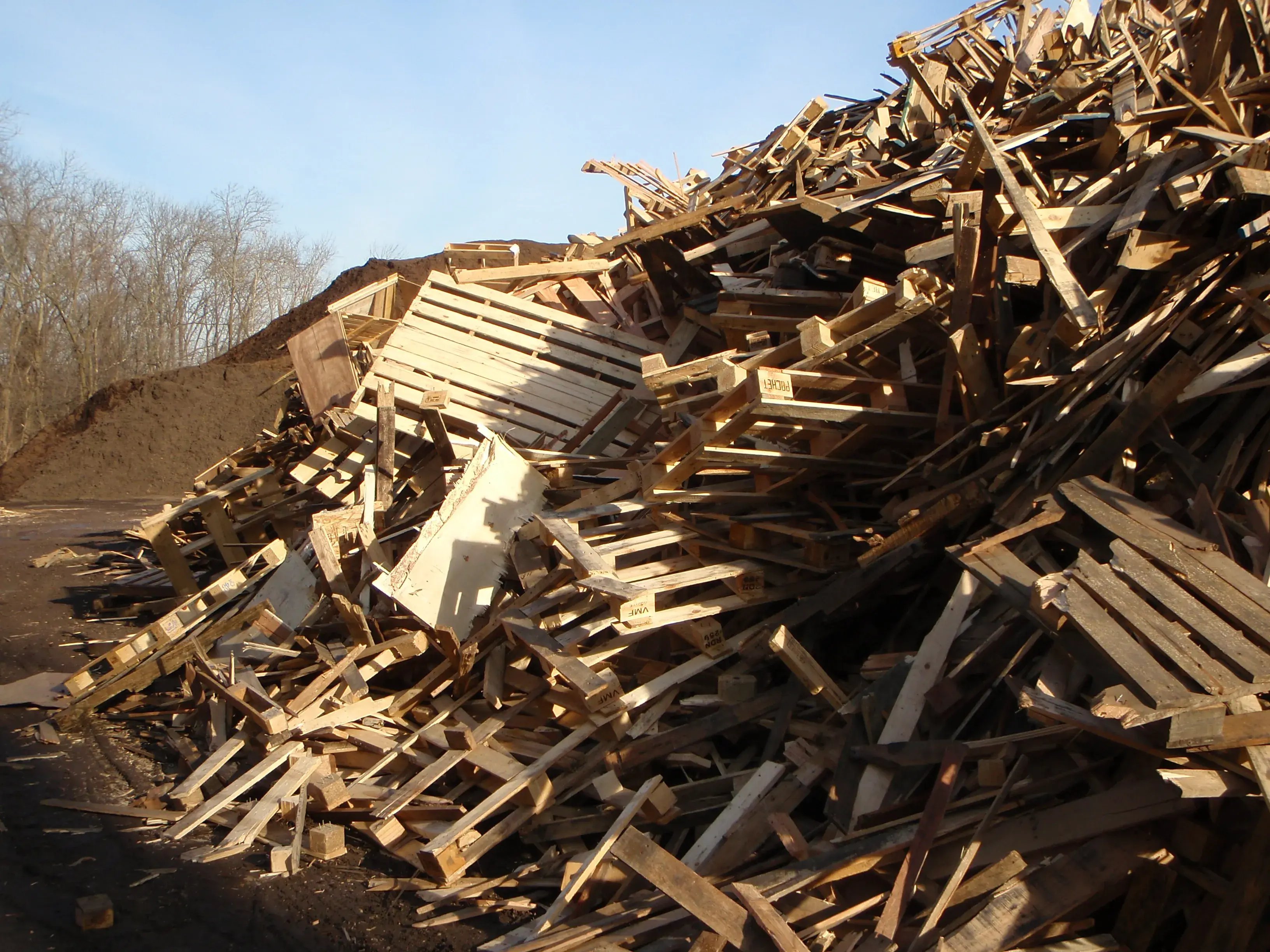 Wood ready for recycling in NJ