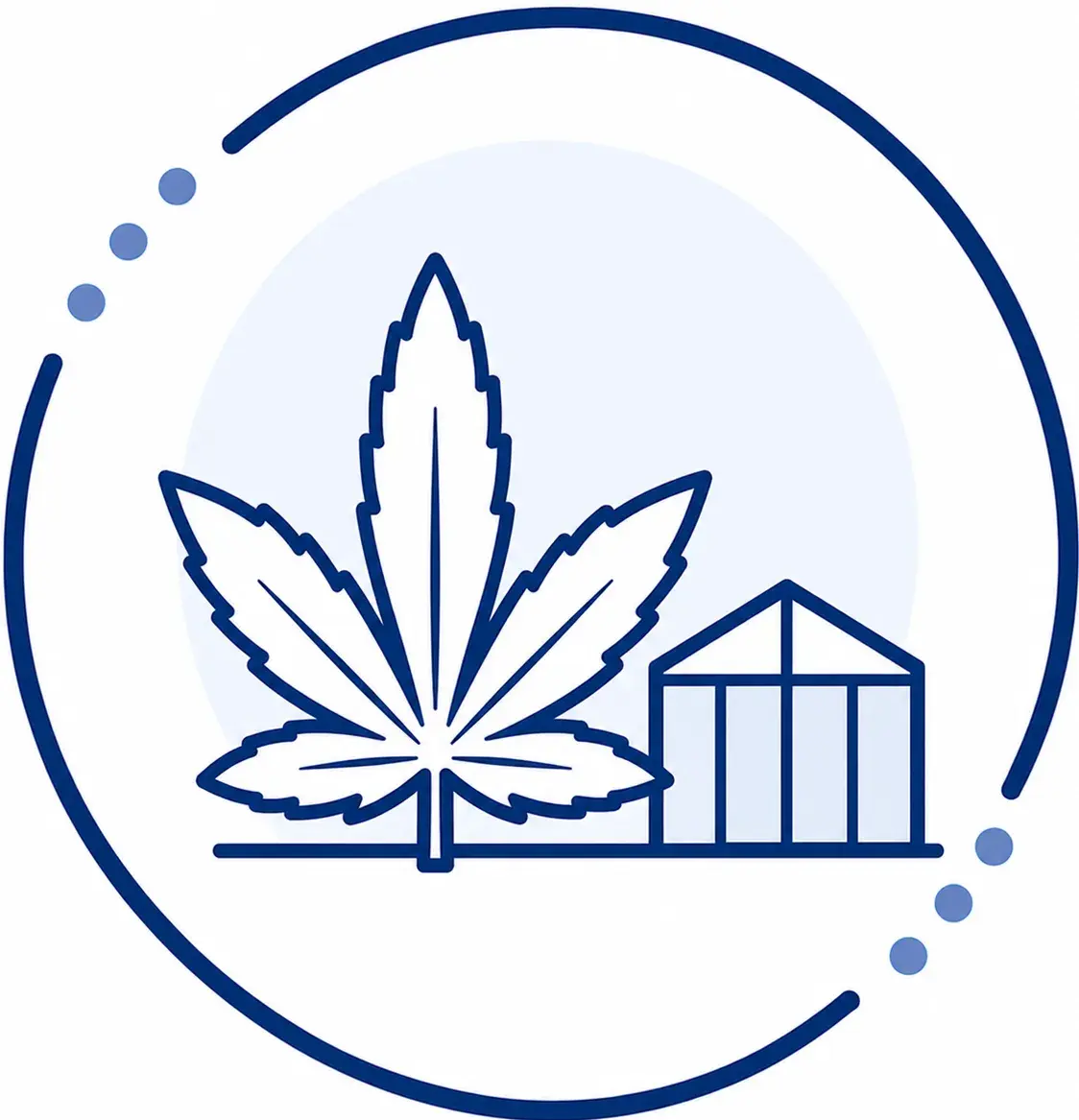 cannabis-2