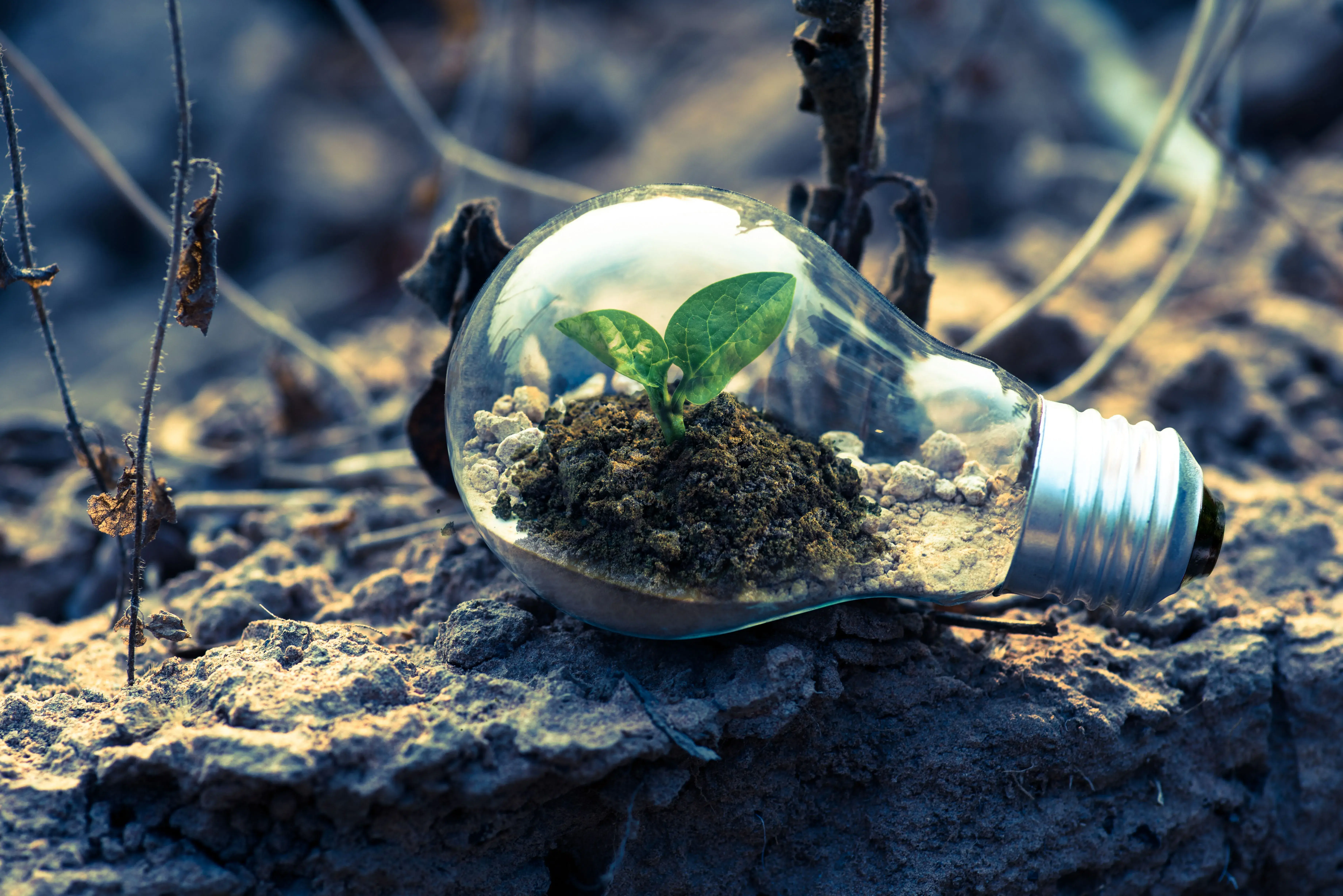 environmental laws in united states