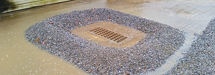 Exceedances & Stormwater Samples