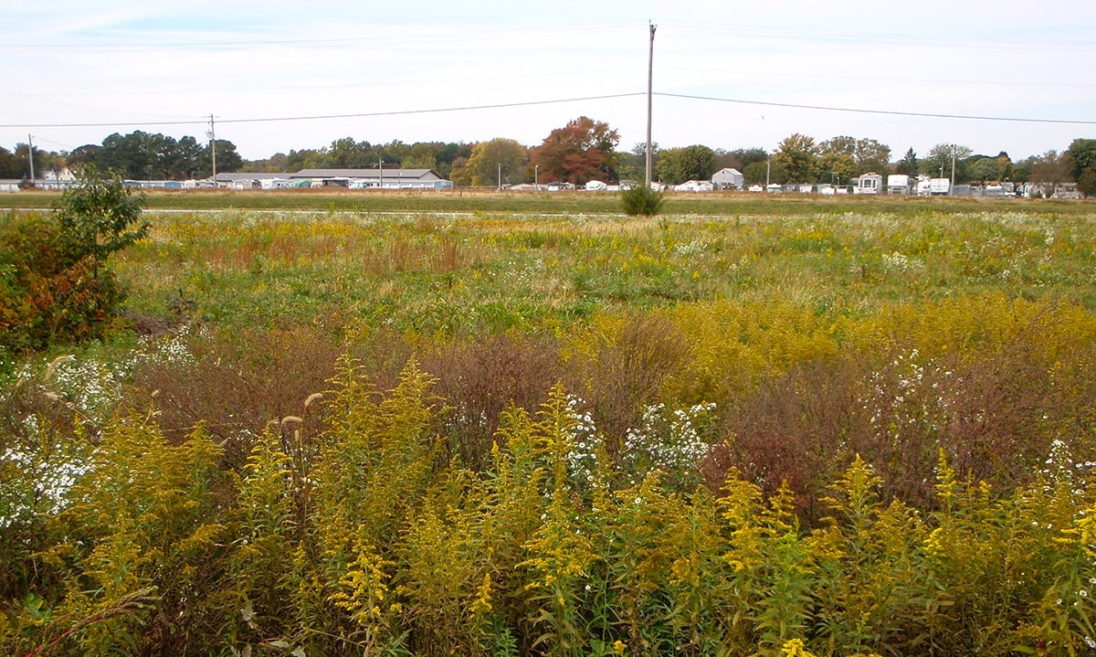 Phase I Environmental Site Assessment on Vacant Land