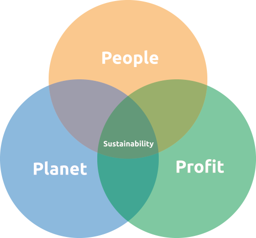 What is the Triple Bottom Line?