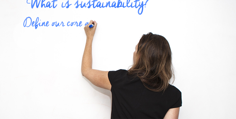 What is sustainability training?