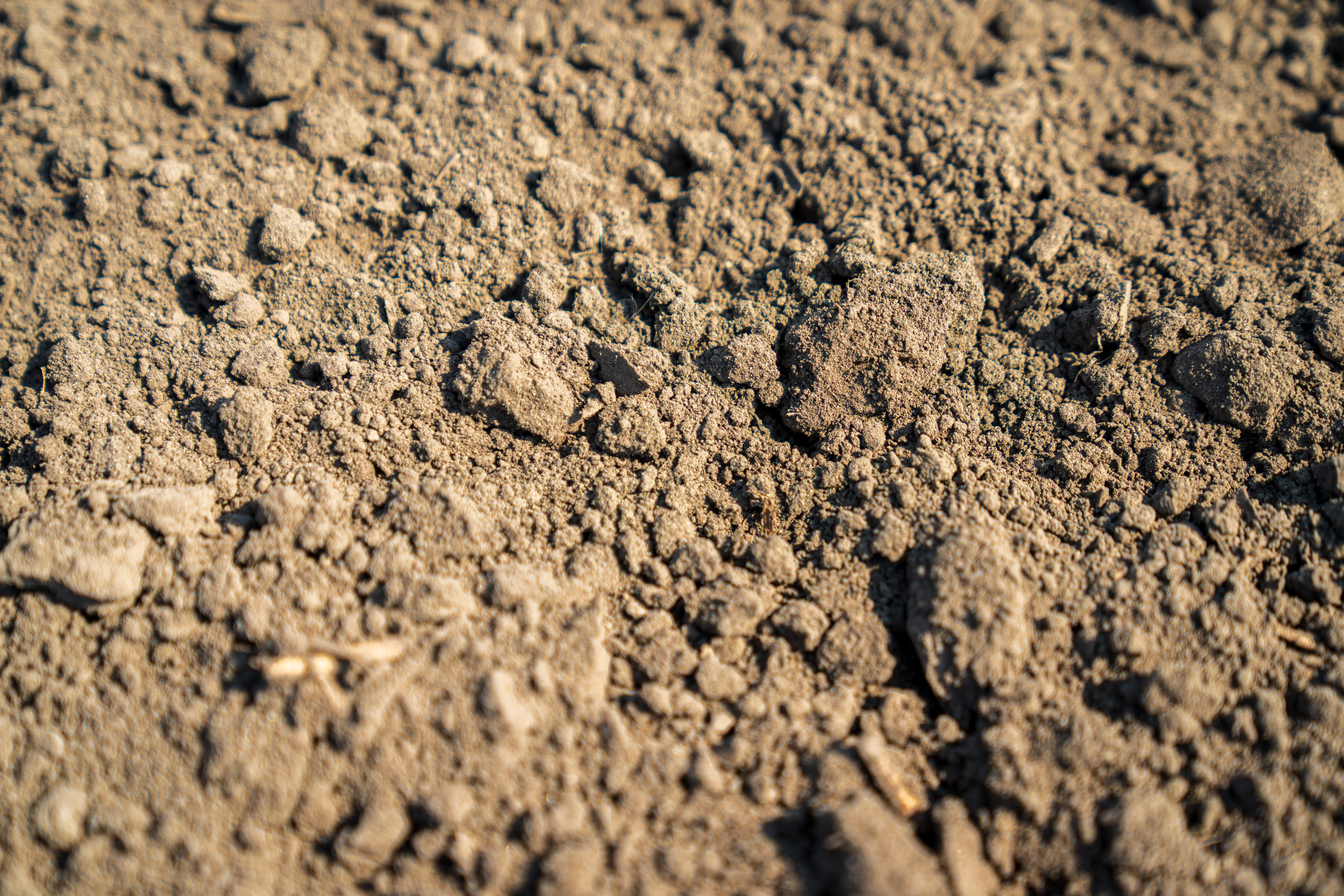 dirty dirt new jersey